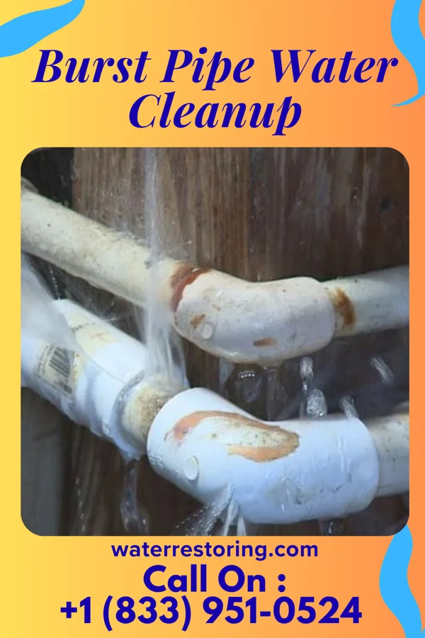 Burst Pipe Water Cleanup in Hudson, PA