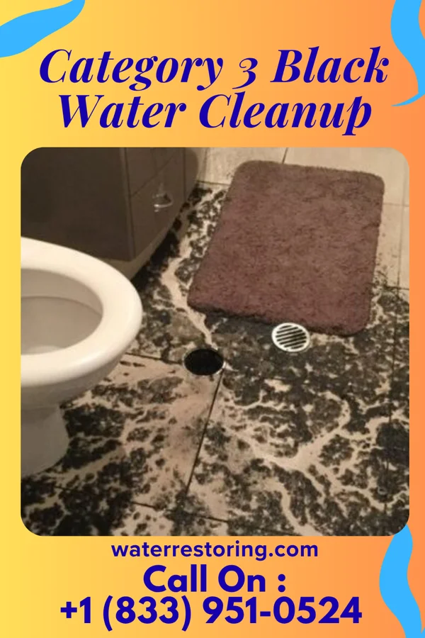 Category 3 Black Water Cleanup in Hudson, PA