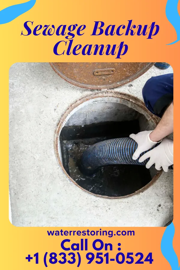 Sewage Backup Cleanup in Hudson, PA