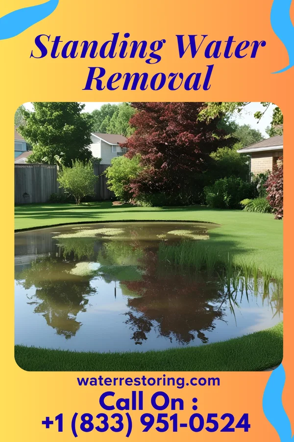 Standing Water Removal in Hudson, PA